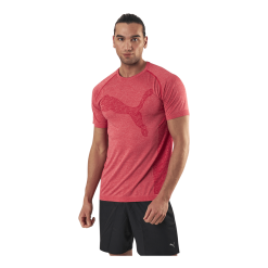 Puma RTG Evoknit Tee Red