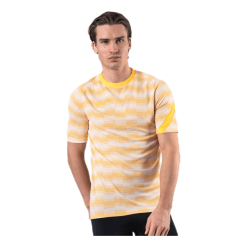 Nike Dri-FIT Academy SS Grey