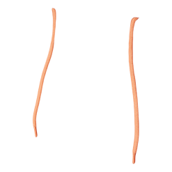 Jack & Jones Brink Sweat Hood Shell Coral 16 Jack & Jones Brink Sweat Hood Shell Coral -Takit Myyntikauppa 60443 26 007